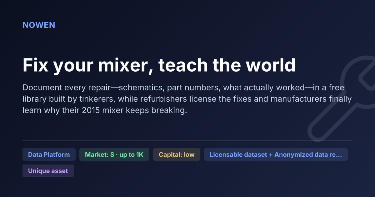 Fix your mixer, teach the world - illustrative business idea summary card
