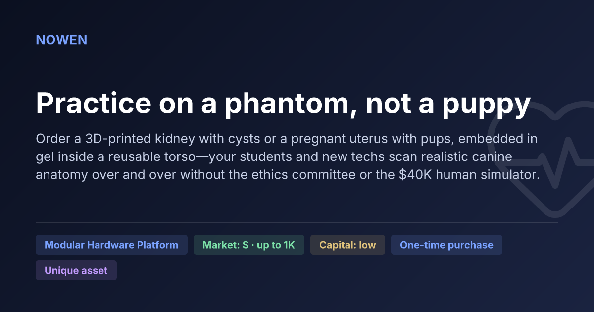 Practice on a phantom, not a puppy - illustrative business idea summary card