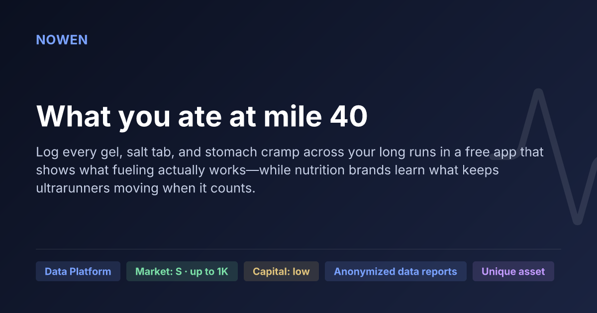 What you ate at mile 40 - illustrative business idea summary card