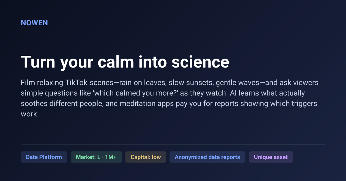 Turn your calm into science - illustrative business idea summary card